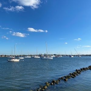 Meet your Posher, Sam